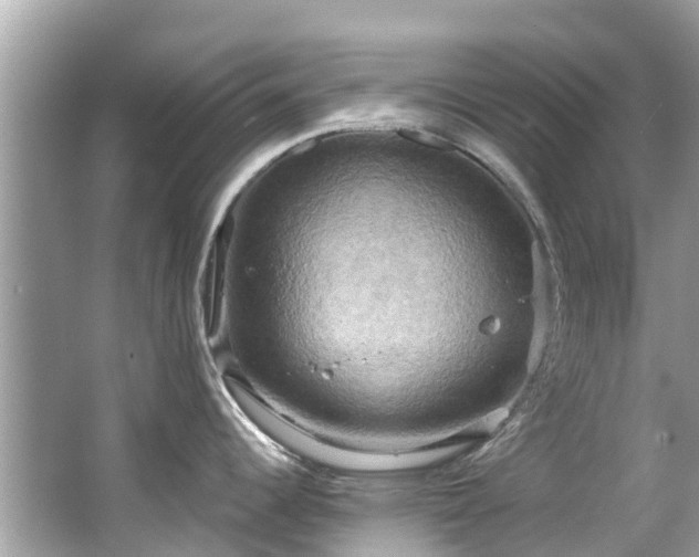 X0000063531344200601231532