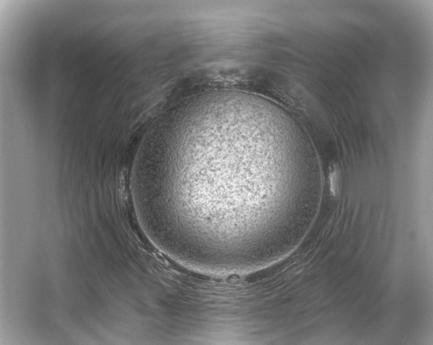 X0000063531347200601231531