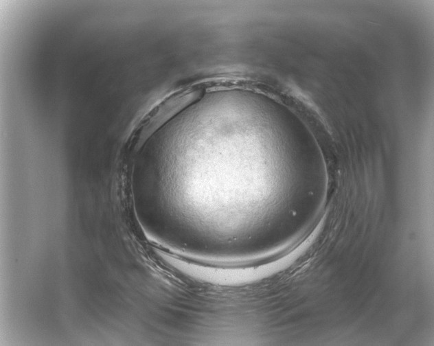 X0000063531352200601231531