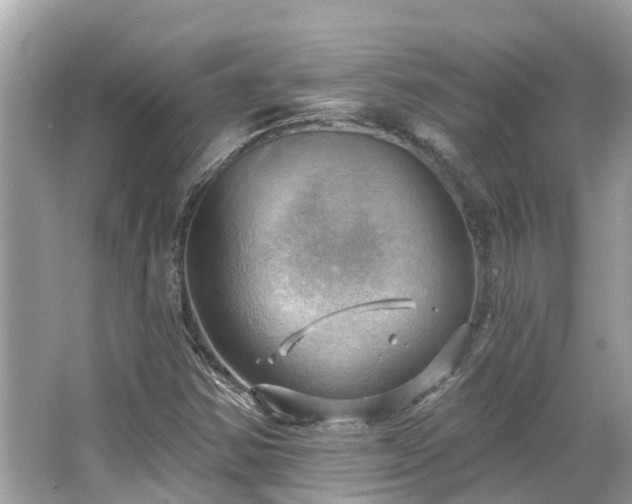 X0000063531354200601231531