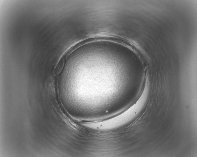 X0000063531356200601231531