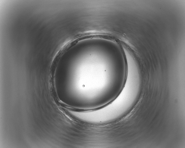 X0000063531357200601231531