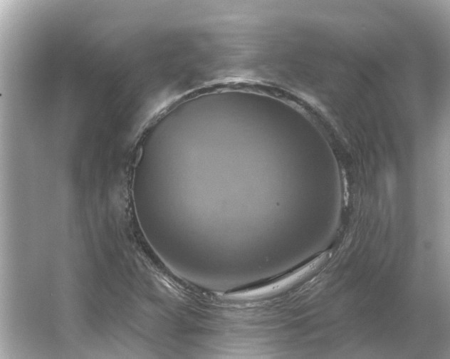 X0000063531359200601231531