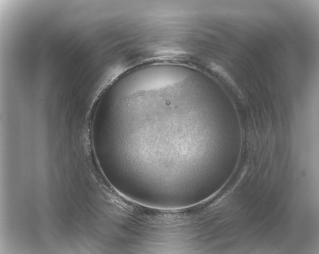 X0000063531362200601231531