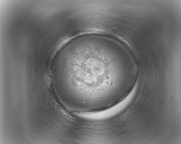 X0000063531363200601231531