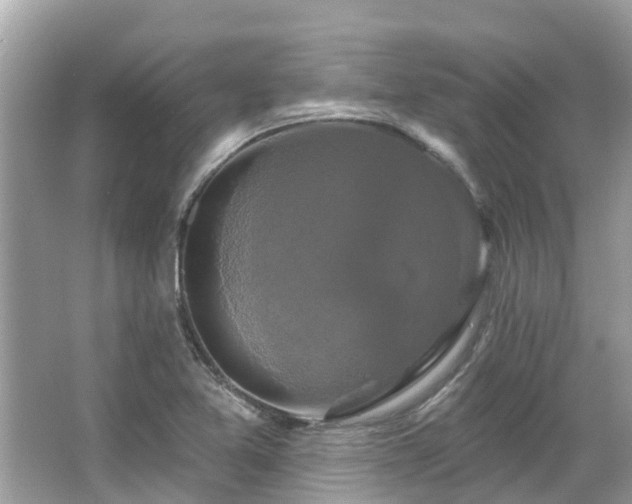 X0000063531365200601231531