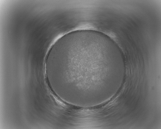 X0000063531366200601231531