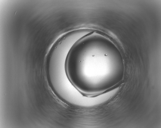 X0000063531368200601231531