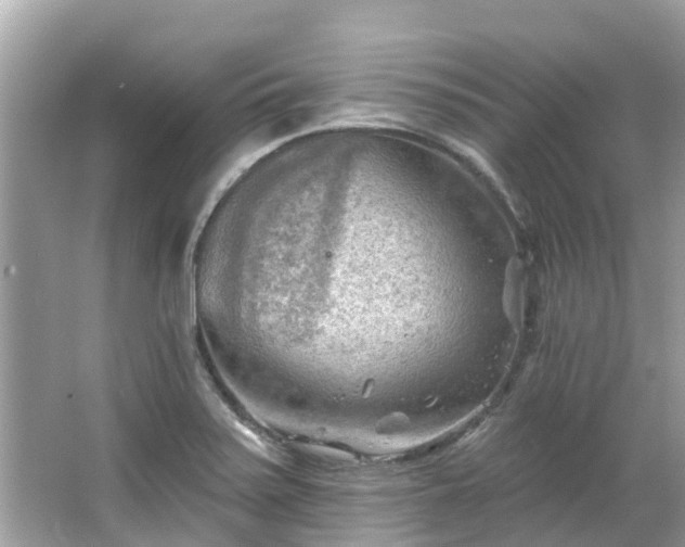 X0000063531371200601231530