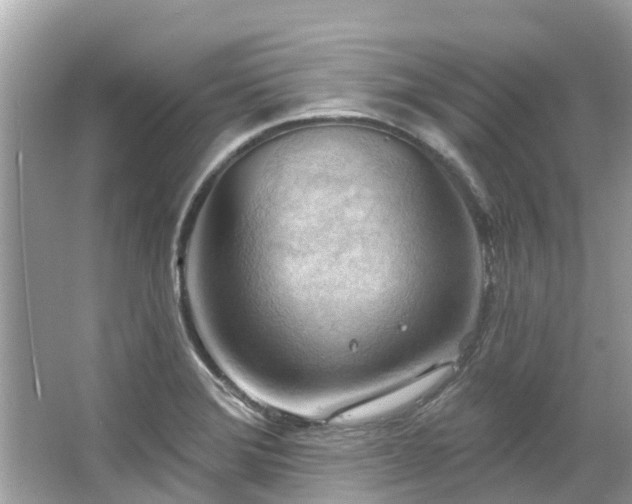 X0000063531372200601231530