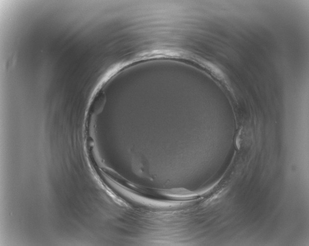 X0000063531373200601231530