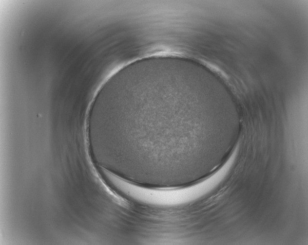 X0000063531375200601231530