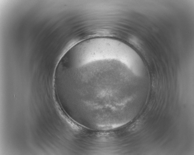 X0000063531378200601231530