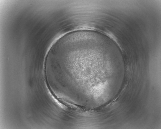 X0000063531379200601231530