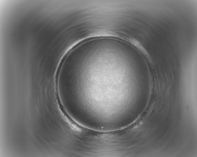 X0000063531380200601231530