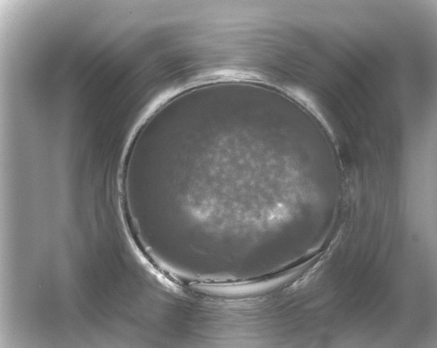 X0000063531381200601231530