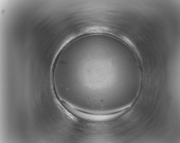 X0000063531384200601231530