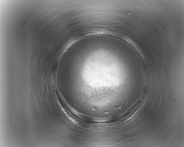 X0000063531385200601231530