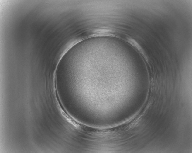 X0000063531386200601231530