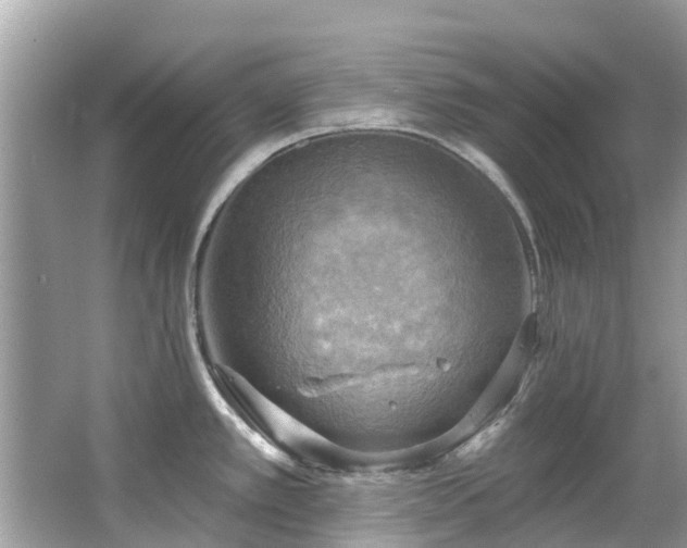 X0000063531389200601231530