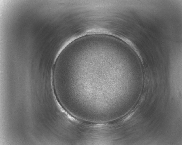 X0000063531390200601231530