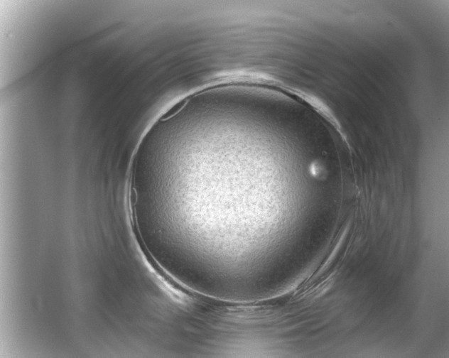 X0000063531391200601231530