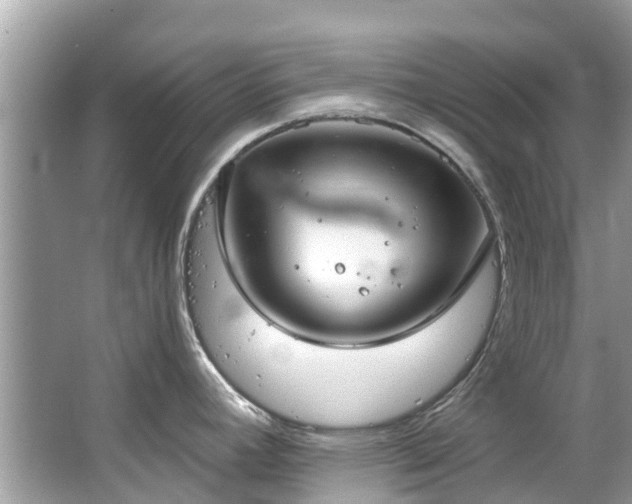 X0000063531392200601231530