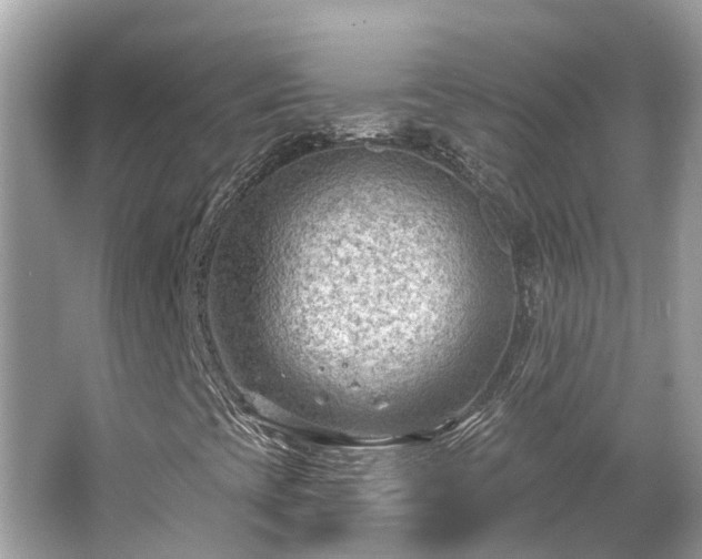 X0000063531393200601231529