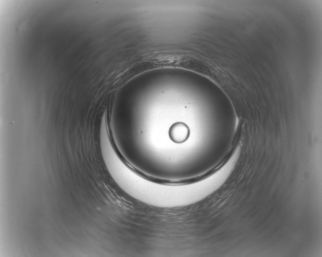 X0000063531394200601231529