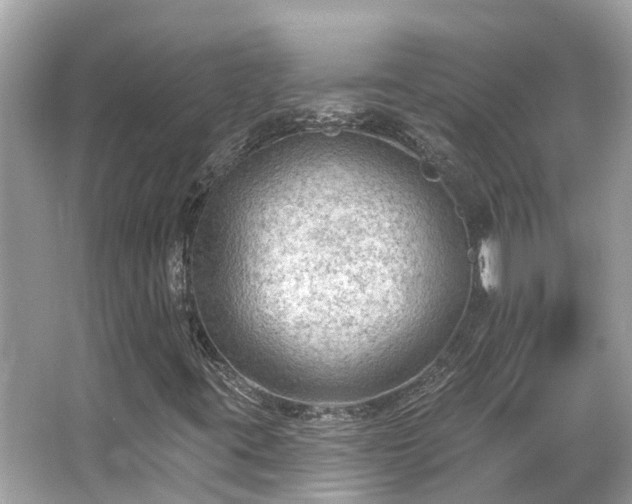 X0000063531395200601231529