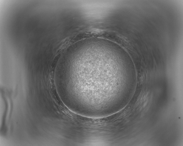 X0000063531397200601231529