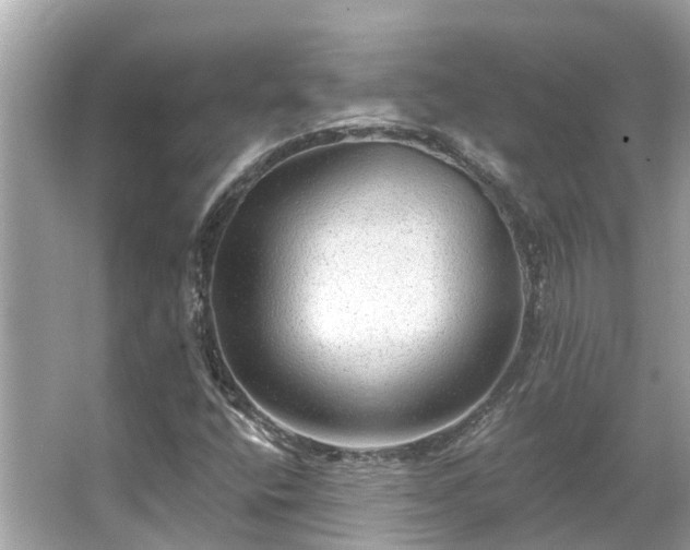 X0000063531400200601231529