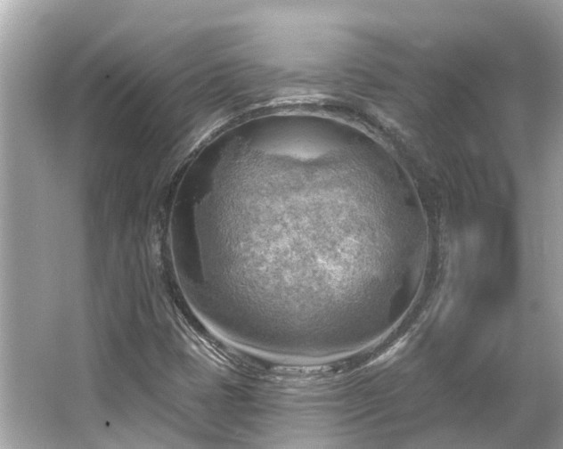 X0000063531401200601231529