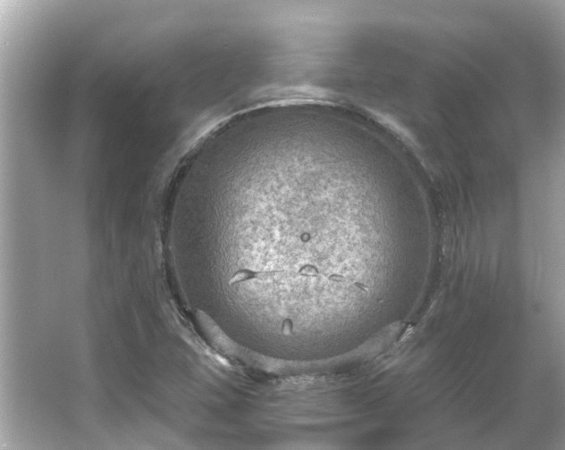 X0000063531407200601231530