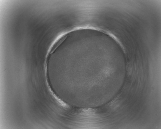 X0000063531416200601231530