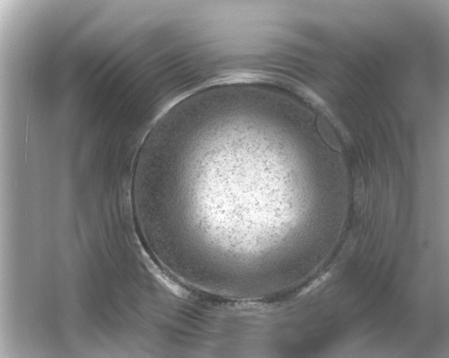 X0000063531417200601231530