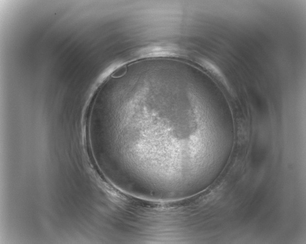 X0000063531419200601231530