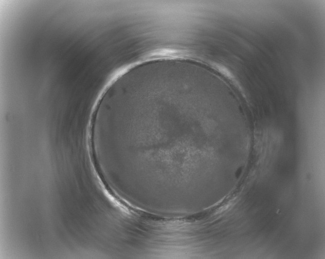 X0000063531421200601231530