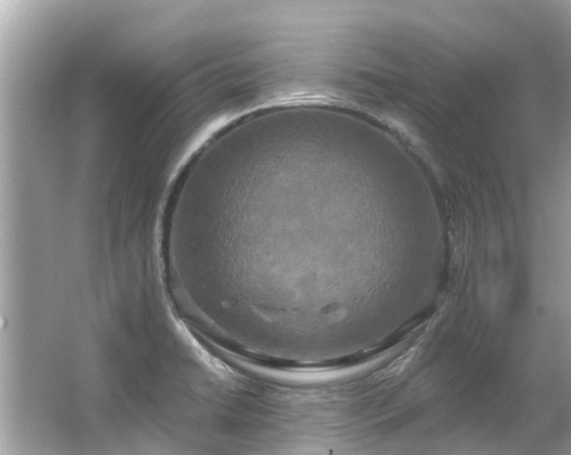 X0000063531422200601231530