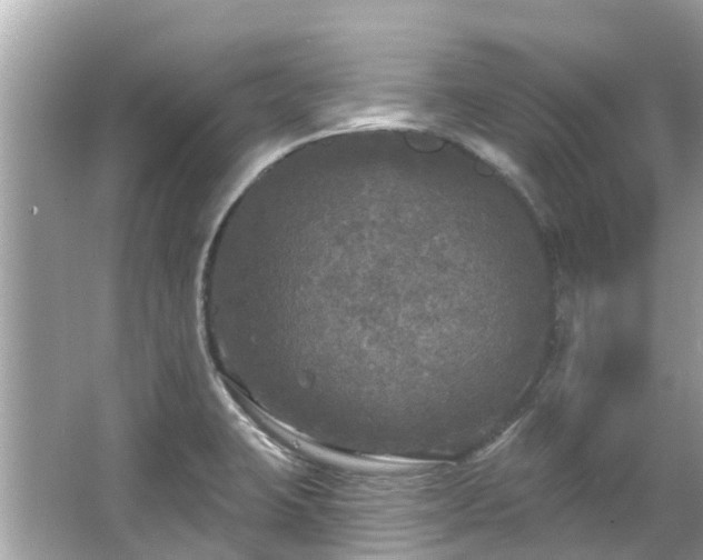 X0000063531423200601231530