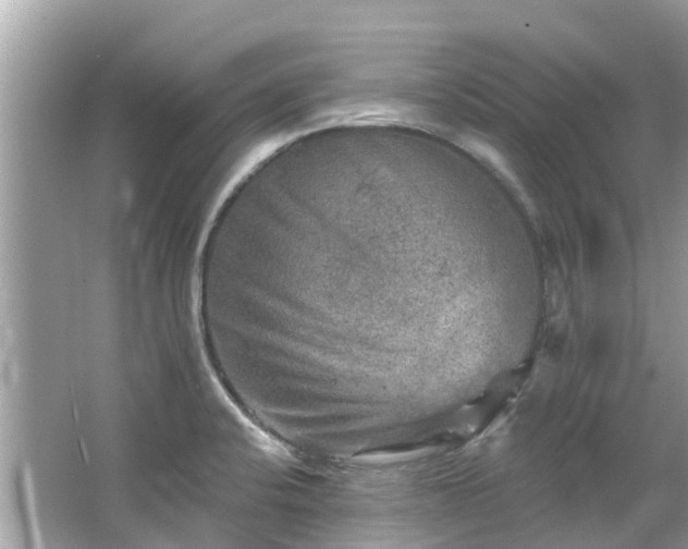 X0000063531424200601231530