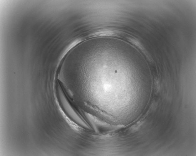 X0000063531426200601231530