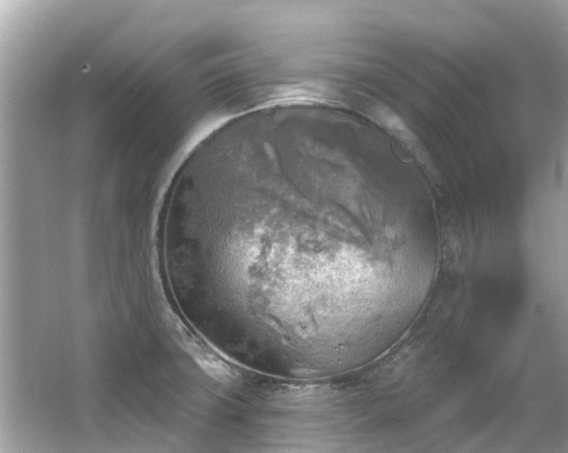 X0000063531427200601231530