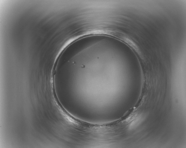 X0000063531428200601231530