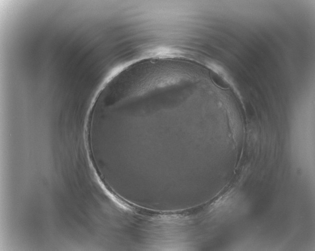 X0000063531429200601231530