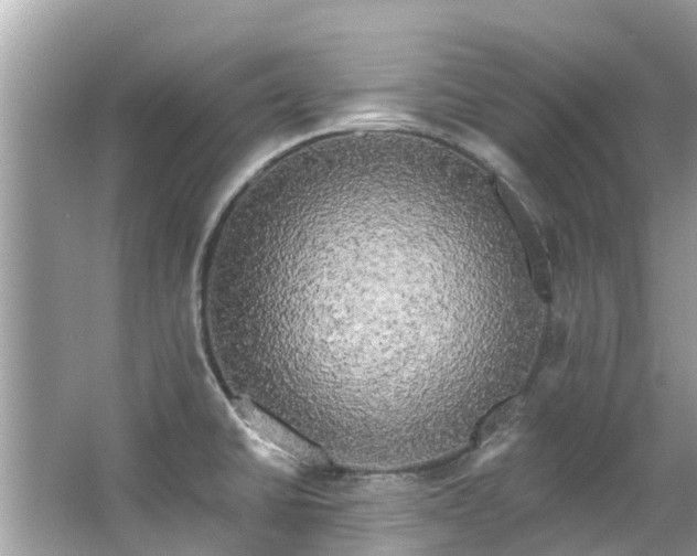 X0000063531430200601231530