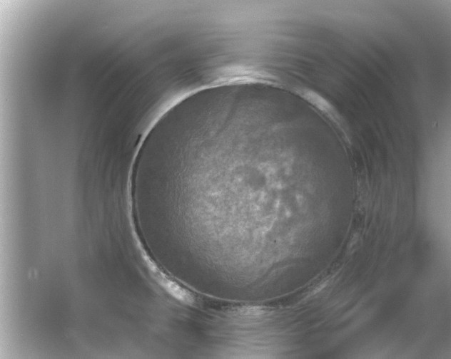 X0000063531431200601231530