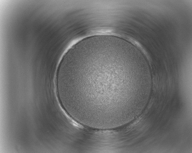 X0000063531432200601231530