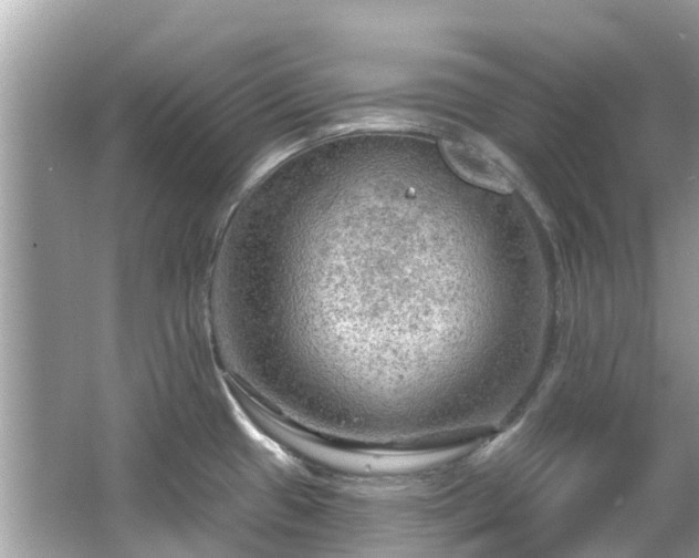 X0000063531433200601231530