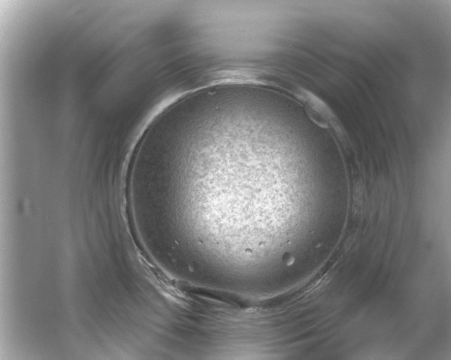 X0000063531435200601231530